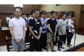 青羊为什么选择专业追讨公司来处理您的债务纠纷？